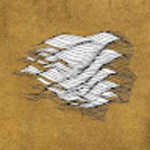 Meet your Posher, Mohammad arman